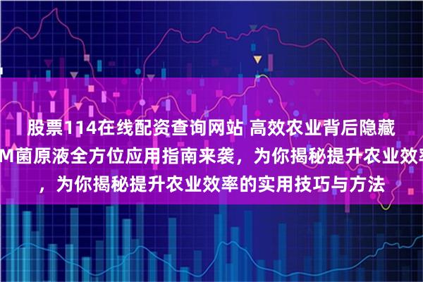 股票114在线配资查询网站 高效农业背后隐藏着什么秘密武器？EM菌原液全方位应用指南来袭，为你揭秘提升农业效率的实用技巧与方法